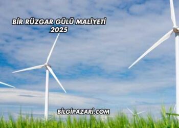 Bir Rüzgar Gülü Maliyeti 2025