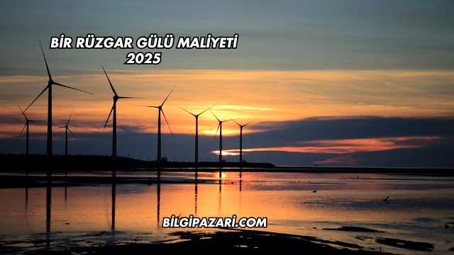 Bir Rüzgar Gülü Maliyeti 2025