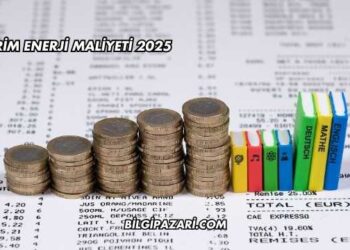 Birim Enerji Maliyeti 2025
