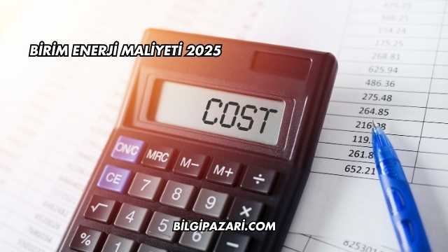 Birim Enerji Maliyeti 2025