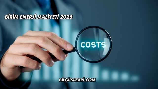 Birim Enerji Maliyeti 2025