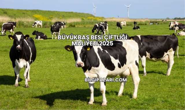 Büyükbaş Besi Çiftliği Maliyeti 2025