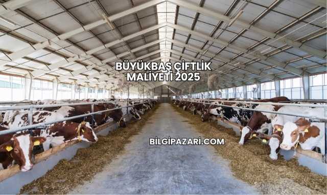 Büyükbaş Çiftlik Maliyeti 2025