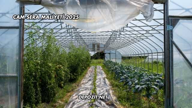Cam Sera Maliyeti 2025