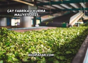 Çay Fabrikası Kurma Maliyeti 2025