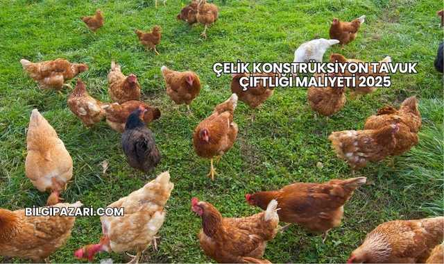 Çelik Konstrüksiyon Tavuk Çiftliği Maliyeti 2025