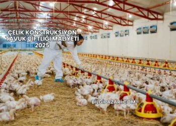 Çelik Konstrüksiyon Tavuk Çiftliği Maliyeti 2025