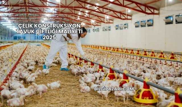 Çelik Konstrüksiyon Tavuk Çiftliği Maliyeti 2025