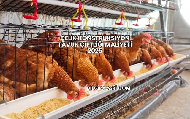Çelik Konstrüksiyon Tavuk Çiftliği Maliyeti 2025