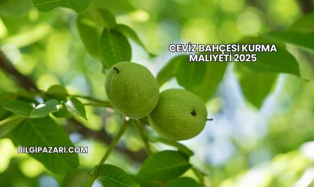 Ceviz Bahçesi Kurma Maliyeti 2025