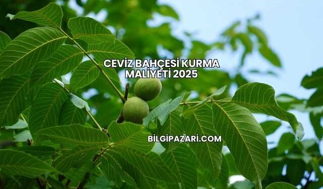 Ceviz Bahçesi Kurma Maliyeti 2025