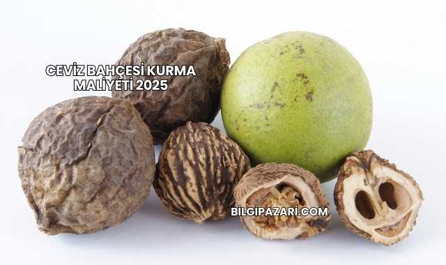 Ceviz Bahçesi Kurma Maliyeti 2025