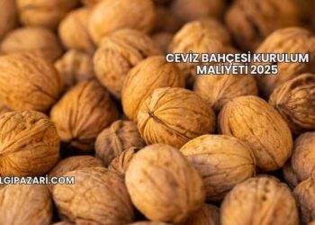 Ceviz Bahçesi Kurulum Maliyeti 2025