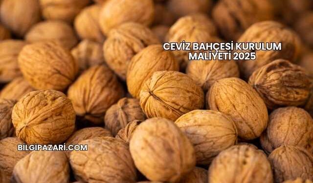 Ceviz Bahçesi Kurulum Maliyeti 2025