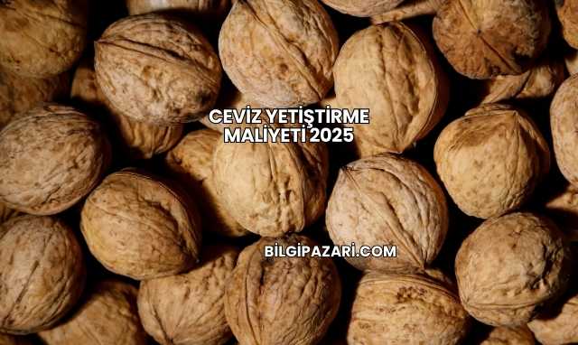 Ceviz Yetiştirme Maliyeti 2025