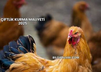 Çiftlik Kurma Maliyeti 2025
