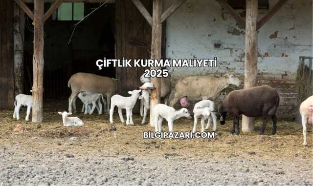 Çiftlik Kurma Maliyeti 2025