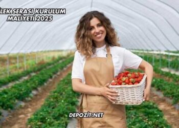 Çilek Serası Kurulum Maliyeti 2025