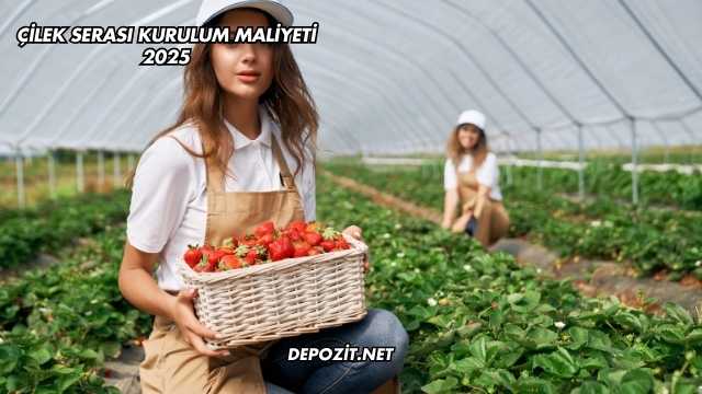 Çilek Serası Kurulum Maliyeti 2025