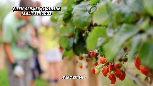 Çilek Serası Kurulum Maliyeti 2025
