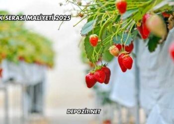 Çilek Serası Maliyeti 2025