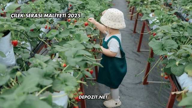 Çilek Serası Maliyeti 2025
