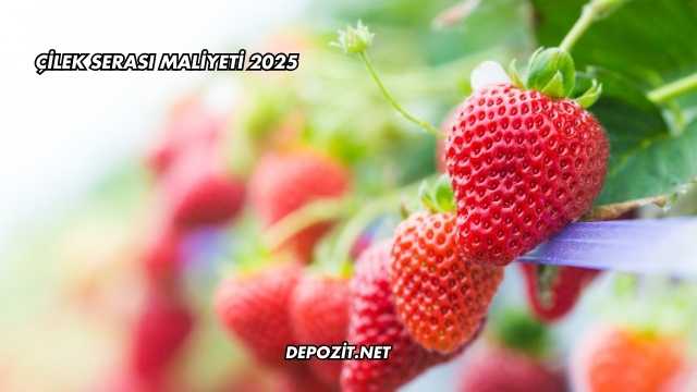 Çilek Serası Maliyeti 2025