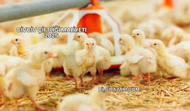 Civciv Çiftliği Maliyeti 2025