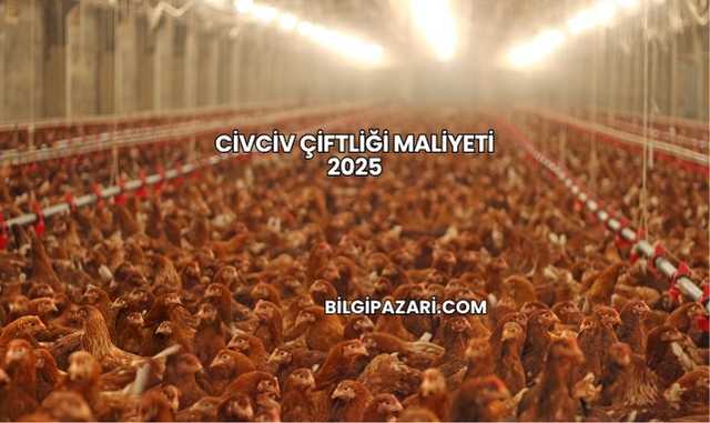 Civciv Çiftliği Maliyeti 2025