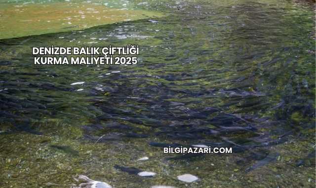 Denizde Balık Çiftliği Kurma Maliyeti 2025