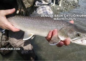 Denizde Balık Çiftliği Kurma Maliyeti 2025