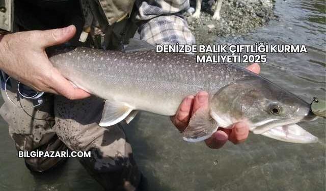 Denizde Balık Çiftliği Kurma Maliyeti 2025