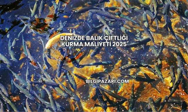Denizde Balık Çiftliği Kurma Maliyeti 2025