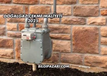 Doğalgaz Çekme Maliyeti 2025