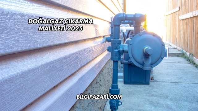 Doğalgaz Çıkarma Maliyeti 2025