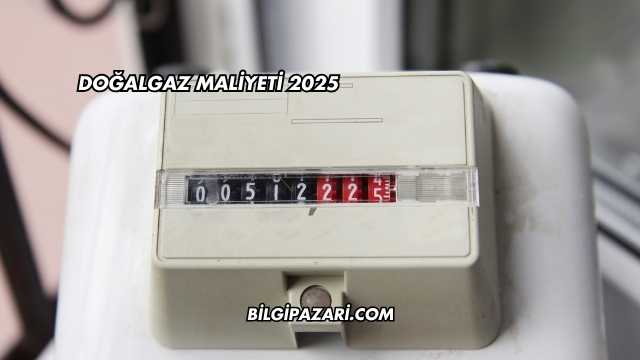 Doğalgaz Maliyeti 2025