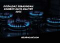 Doğalgaz Sobasından Kombiye Geçiş Maliyeti 2025