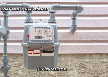 Doğalgaz Tesisat Maliyeti 2025