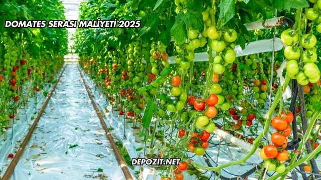 Domates Serası Maliyeti 2025