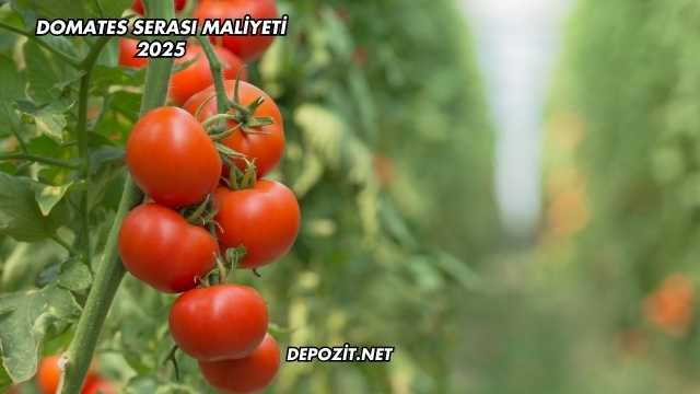 Domates Serası Maliyeti 2025