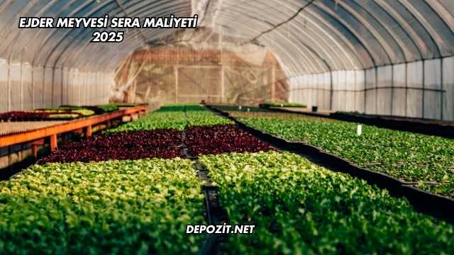 Ejder Meyvesi Sera Maliyeti 2025