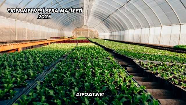 Ejder Meyvesi Sera Maliyeti 2025