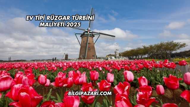 Ev Tipi Rüzgar Türbini Maliyeti 2025