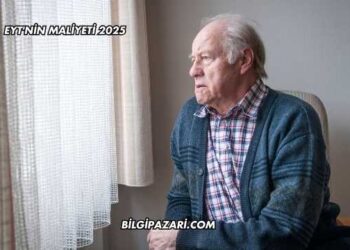 Eyt'nin Maliyeti 2025