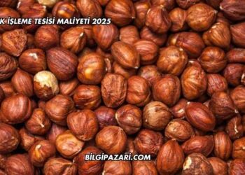 Fındık İşleme Tesisi Maliyeti 2025