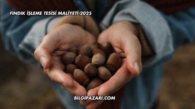 Fındık İşleme Tesisi Maliyeti 2025