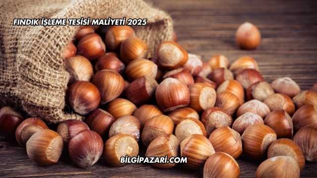 Fındık İşleme Tesisi Maliyeti 2025