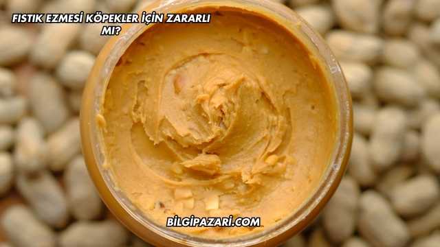 Fıstık Ezmesi Köpekler İçin Zararlı mı?