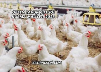 Gezen Tavuk Çiftliği Kurma Maliyeti 2025