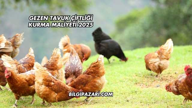 Gezen Tavuk Çiftliği Kurma Maliyeti 2025